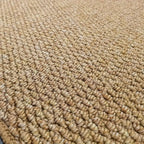Absorbent Indoor Outdoor Door Mat – Washable