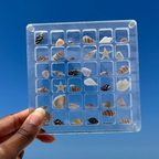 Acrylic Treasure Keeper | Stylishly Store Your Sea Collection