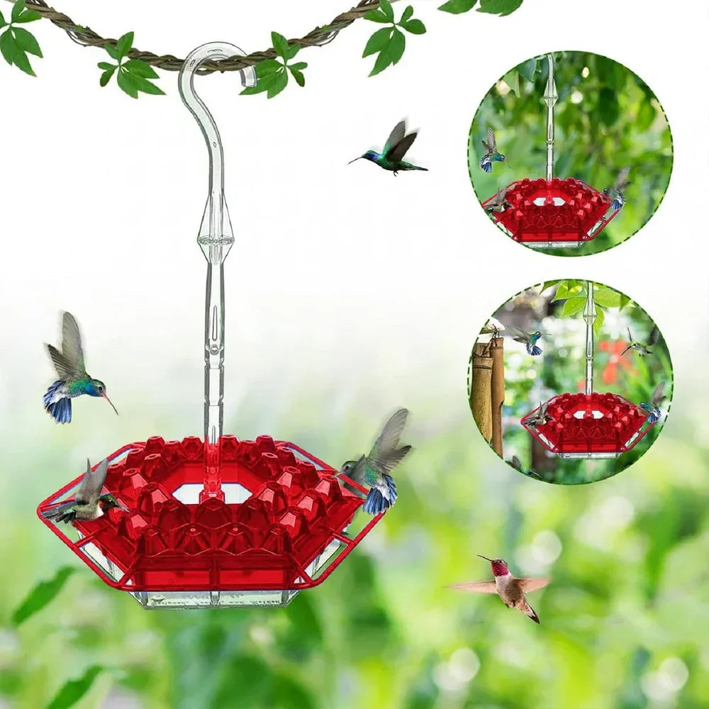 BirdBliss™ Bird-Friendly Paradise