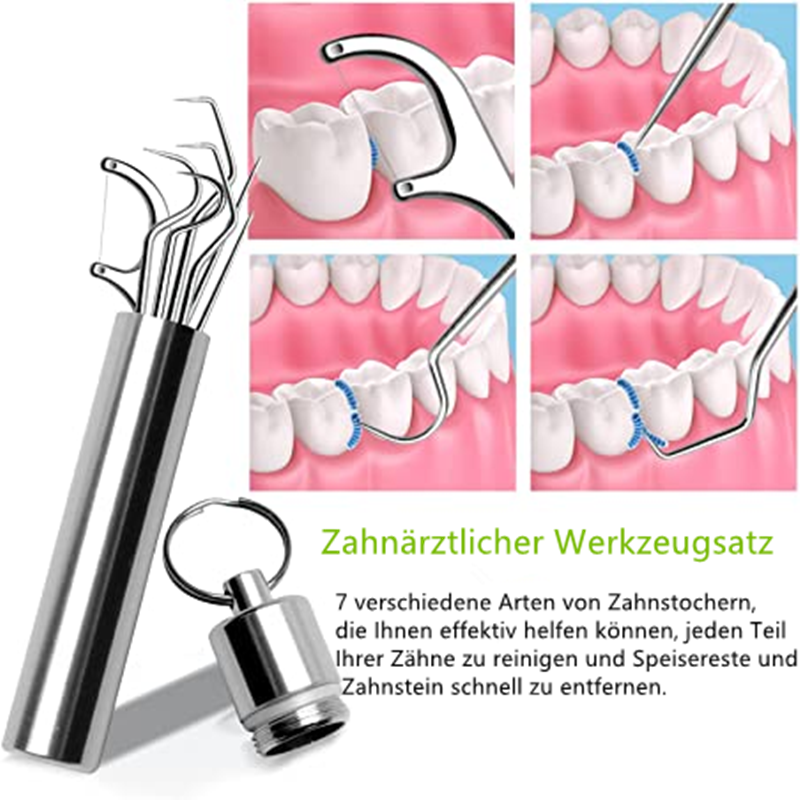 Toothpick set made of stainless steel (7 pcs)