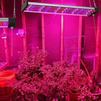 LED plant lamp with full spectrum lighting and pull switch for optimal plant growth