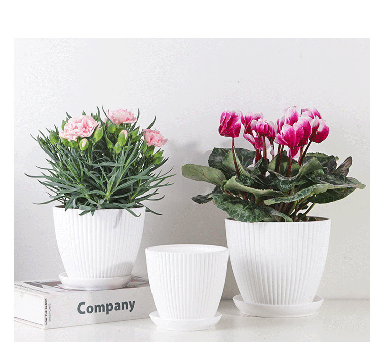 Flower pot with groove structure and saucer – Sturdy plastic pot for plants