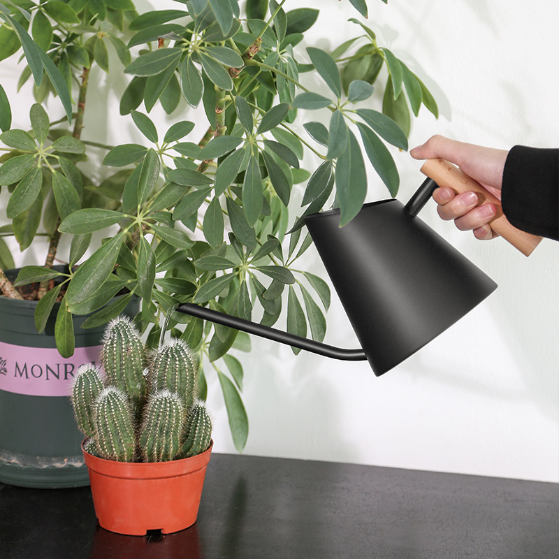 Modern watering can with wooden handle – Stylish watering can for plants in the garden