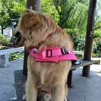 Dog Swim Safety Jacket