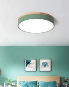 Modern Ceiling Lamp with Nature-Inspired Shape
