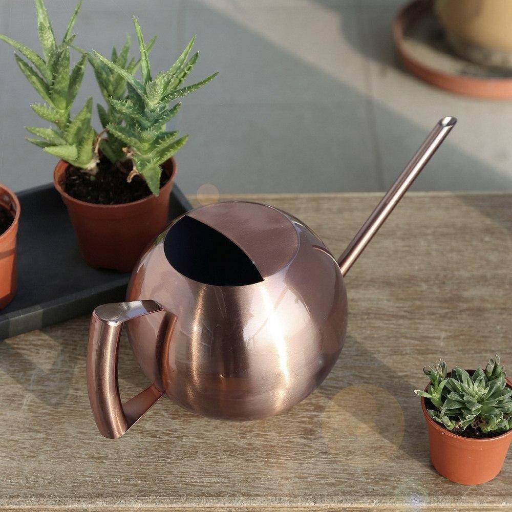 Elegant Watering Can for Precise Watering
