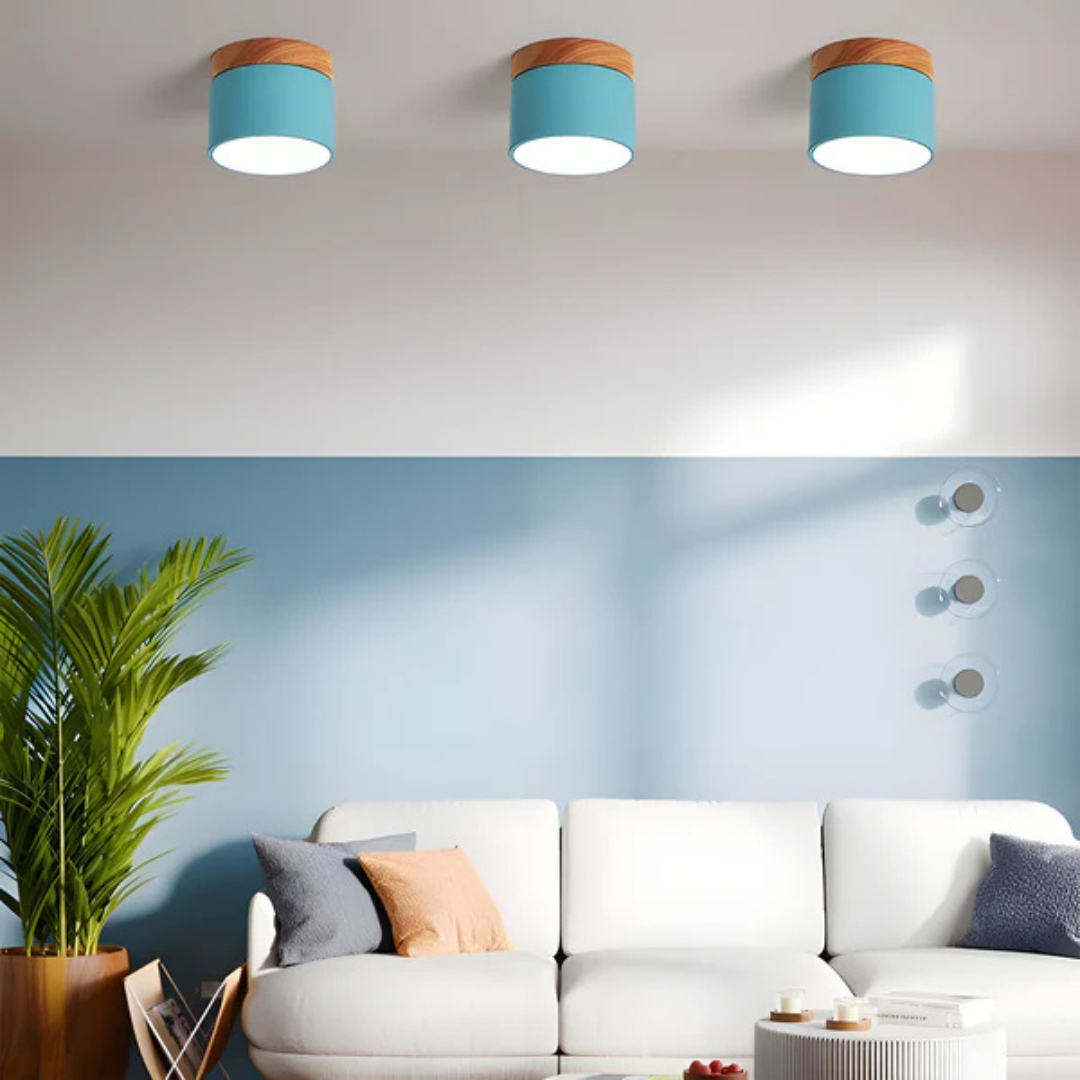 Vintage LED Ceiling Lamp