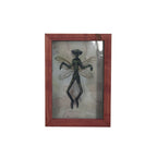 Mysterious Mummified Fairy in Frame