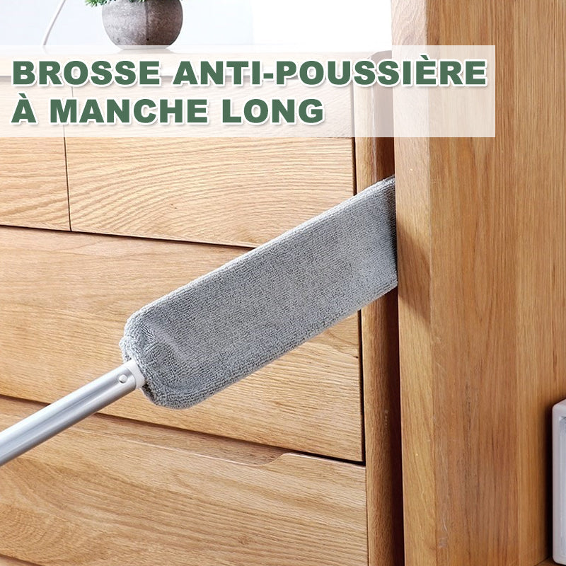 Dust broom with long handle