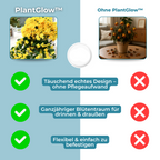 PlantGlow – Natural elegance, permanently fresh [Last day discount]