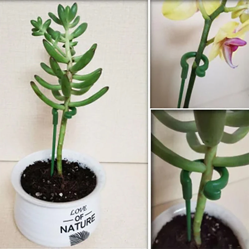 Plant Supports Stake