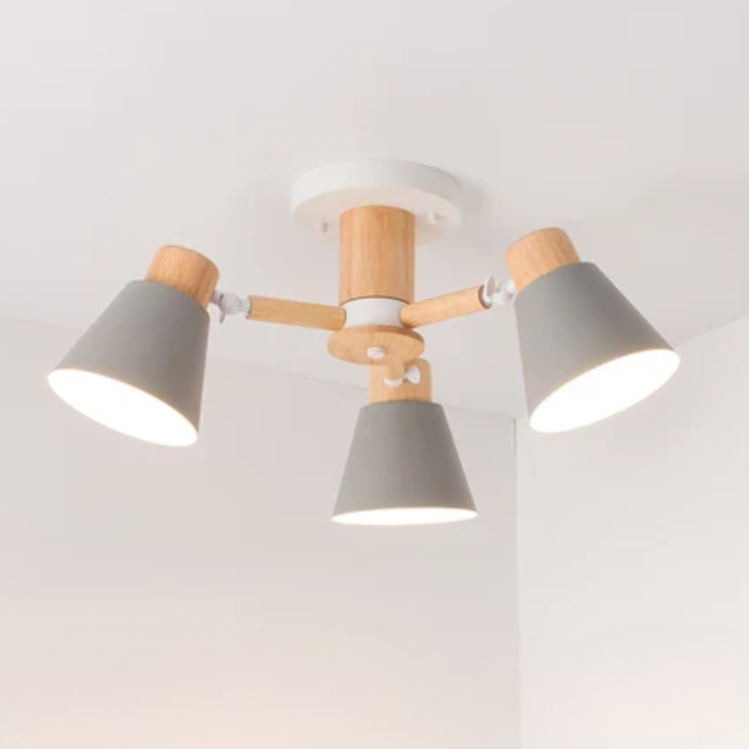 LED Ceiling Lamp