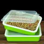 Germination trays with lid – Double-layer seed sowing tray for effective seed germination