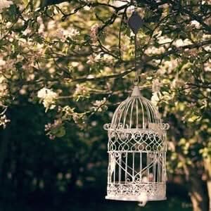 Height-adjustable & stable for plants & birdhouses