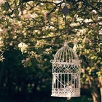 Height-adjustable & stable for plants & birdhouses