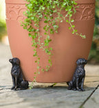 PotStand Healthy Root Support
