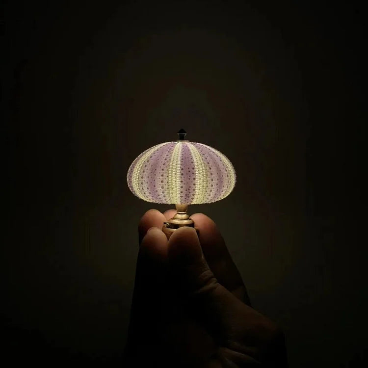LumiCraft – Unique DIY table lamp with natural sea shell for a cozy décor