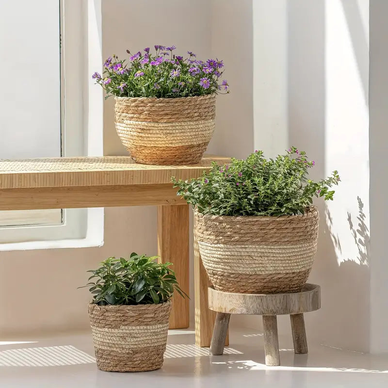 Decorative plant baskets made of seagrass in a set of 3 – Handwoven flower pots with foil insert
