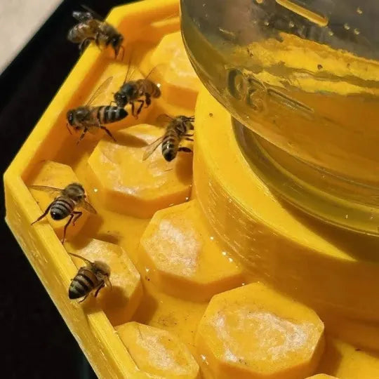 BuzziNest — Protect your bees and make your garden a blooming dream of life!