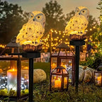 Solar Garden Light Owl – LED Outdoor Light for Garden, Terrace and Balcony, weatherproof