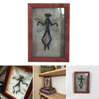 Mysterious Mummified Fairy in Frame