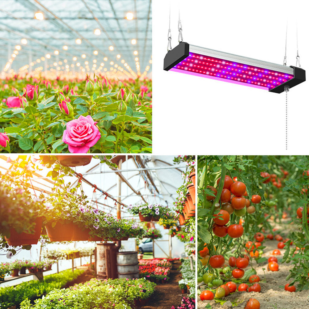 LED plant lamp with full spectrum lighting and pull switch for optimal plant growth