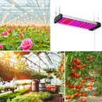 LED plant lamp with full spectrum lighting and pull switch for optimal plant growth