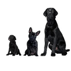 Ultrasonic Dog Repeller – USB Rechargeable Anti-Bark Training Device for All Breeds