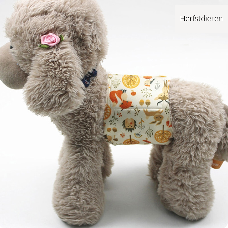 Washable Dog Diaper for Worry-Free Comfort