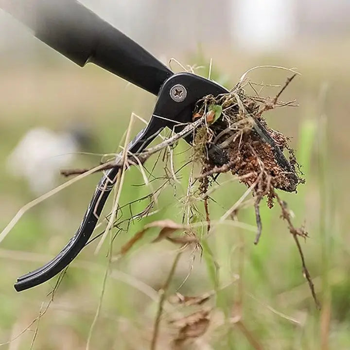Removable Weed Removal Tool