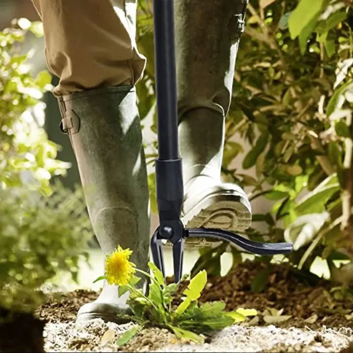 Removable Weed Removal Tool