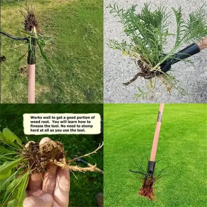 Removable Weed Removal Tool