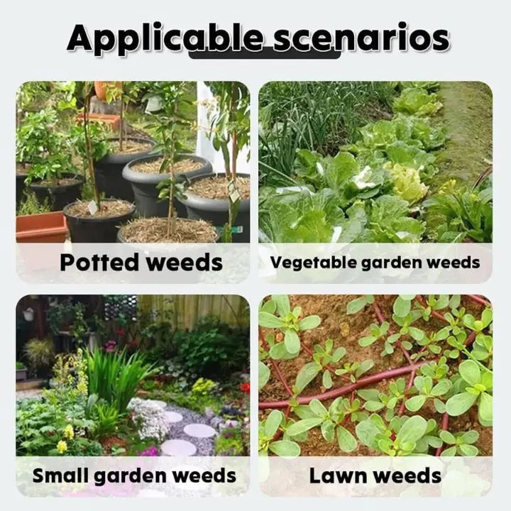 Removable Weed Removal Tool