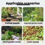 Removable Weed Removal Tool