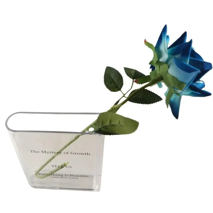 Acrylic Book Vase – Modern Design with Invisible Book Look