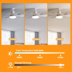 Socket Ceiling Fan with Light