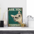 Funny toilets - Humorous toilet - Original and fun decoration