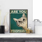 Funny toilets - Humorous toilet - Original and fun decoration