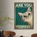 Funny toilets - Humorous toilet - Original and fun decoration