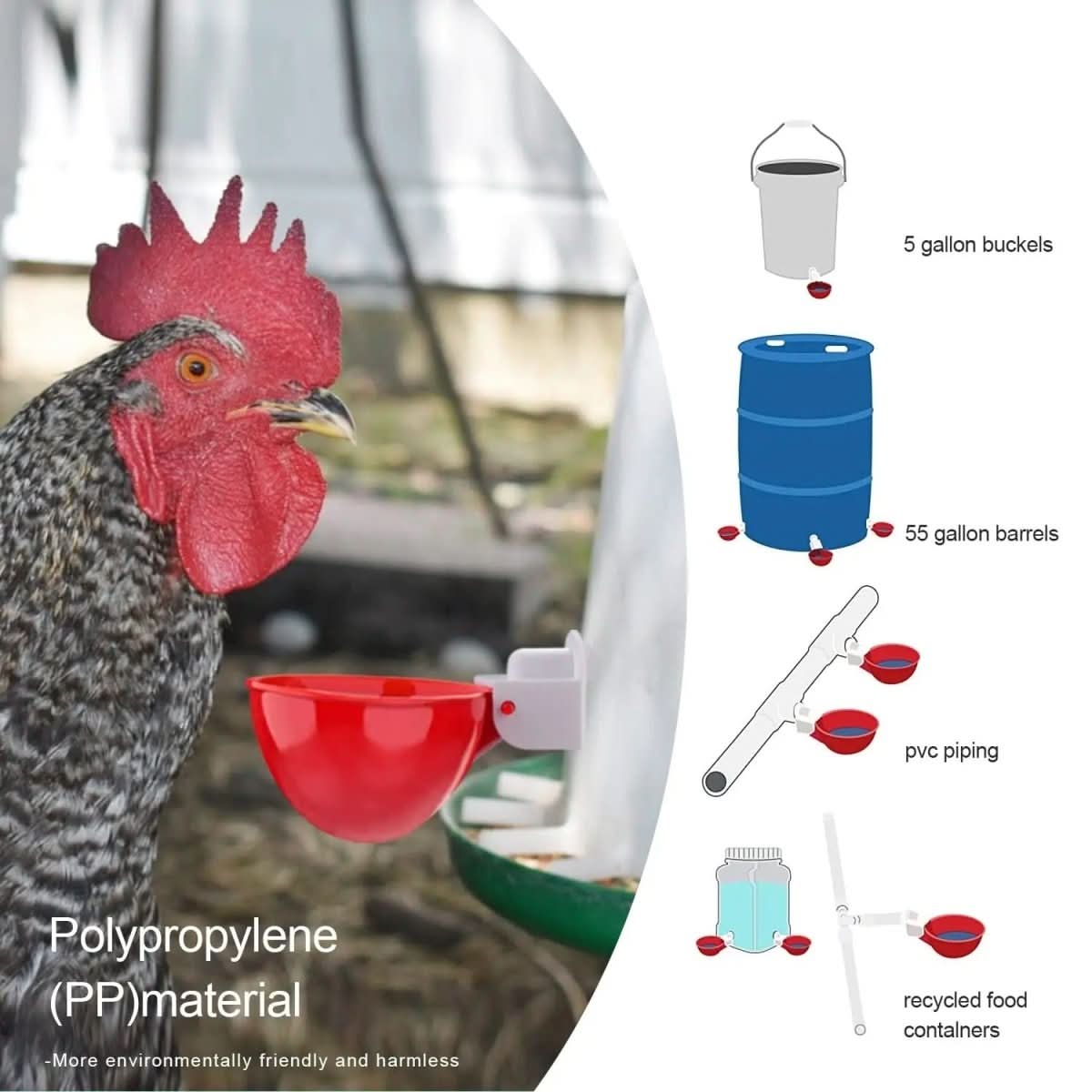 Automatic Chicken Waterer for Healthy Flocks