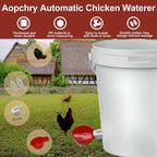 Automatic Chicken Waterer for Healthy Flocks