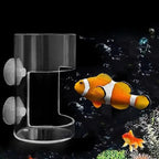 Aquarium Feeding Station with Suction Cups – Clean & Targeted Feeding