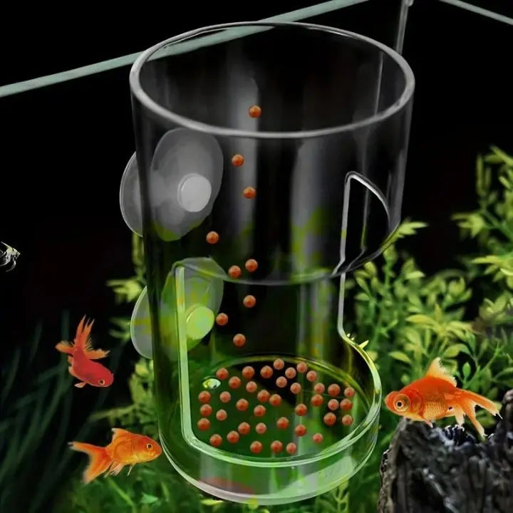 Aquarium Feeding Station with Suction Cups – Clean & Targeted Feeding