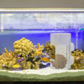 Aquarium Feeding Station with Suction Cups – Clean & Targeted Feeding