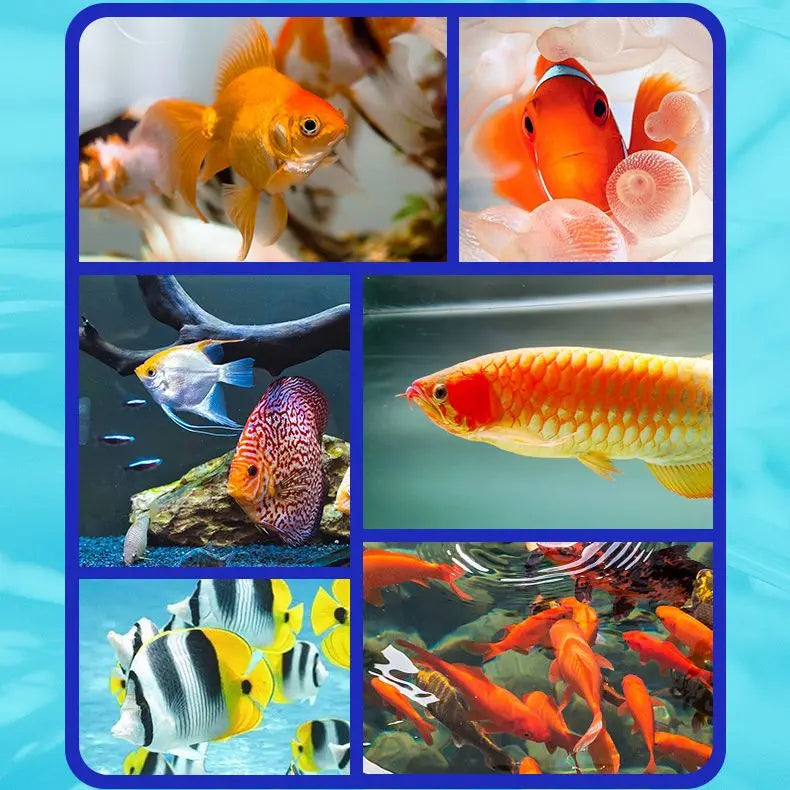 Aquarium Water Cleaner Solution