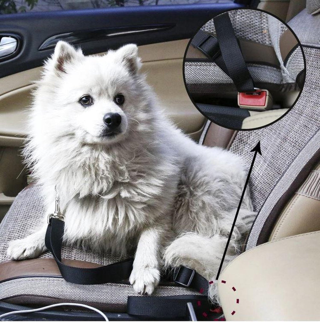 Safety seatbelt for Pets