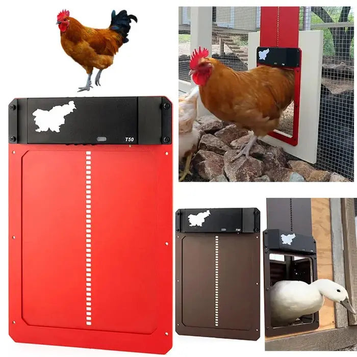 Automatic Chicken Coop Door - Weatherproof & Predator Safe with Easy Installation
