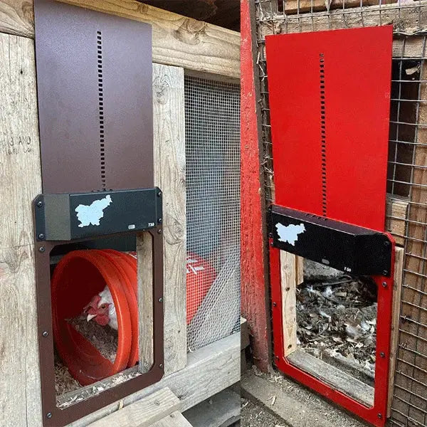 Automatic Chicken Coop Door - Weatherproof & Predator Safe with Easy Installation