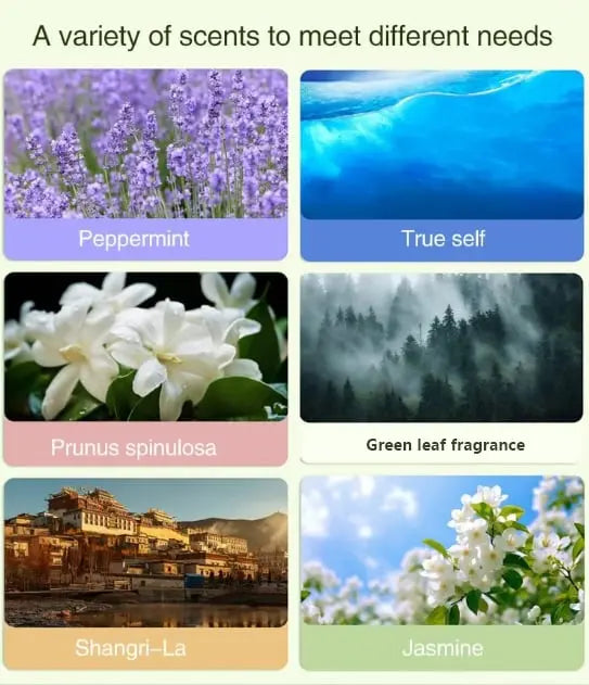 Automatic Aromatherapy Diffuser – 5-level Timer with Highly Pure Essential Oil