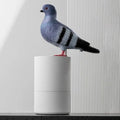 Automatic Dove Soap Dispenser – Touchless for Maximum Hygiene